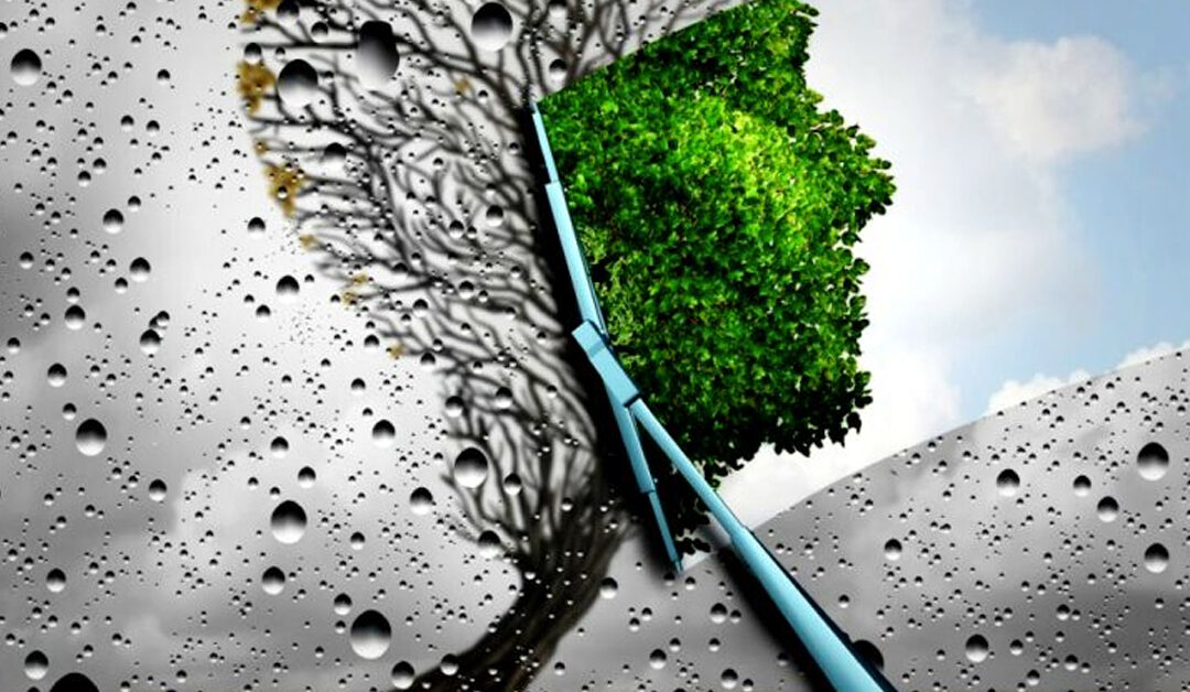 Purposeful Pivot or Pivot for Purpose?